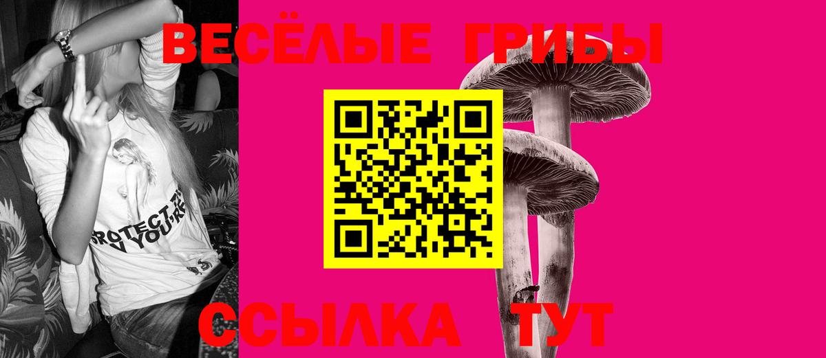 МЕФ Бердск